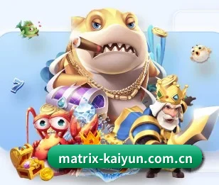 平台简介 - 体育资讯内容服务 - kaiyun
