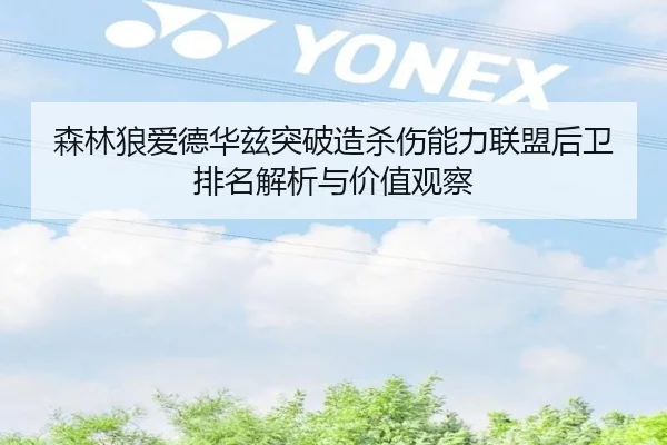 森林狼爱德华兹突破造杀伤能力联盟后卫排名解析与价值观察