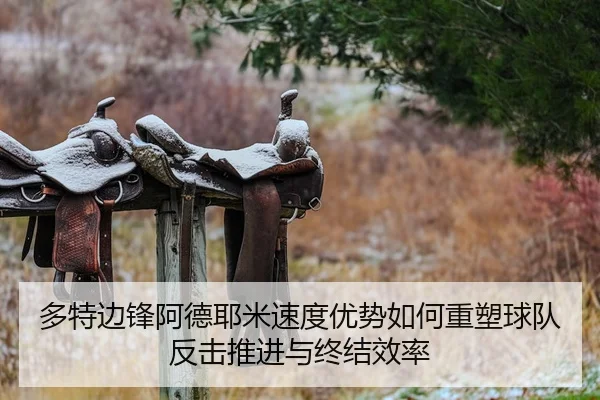 多特边锋阿德耶米速度优势如何重塑球队反击推进与终结效率