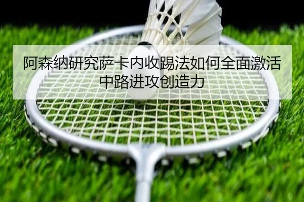img_1781804677177_2226_1_504.jpg