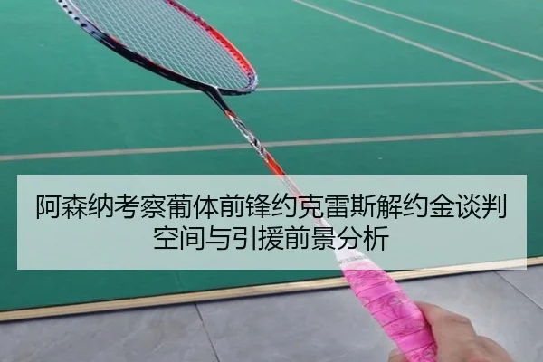 阿森纳考察葡体前锋约克雷斯解约金谈判空间与引援前景分析 - kaiyun
